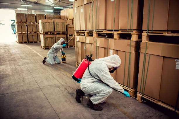 Best Emergency Pest Control  in Clintondale, NY