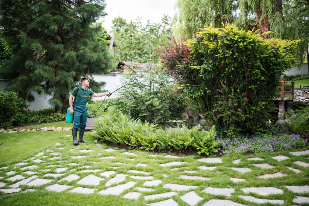 Best Insect Control  in Clintondale, NY