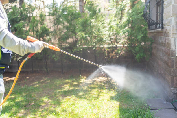 Best Best Pest Control Companies  in Clintondale, NY