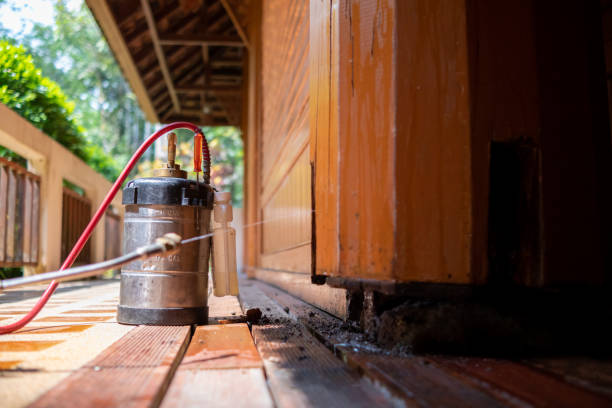 Best Pest Removal Services  in Clintondale, NY