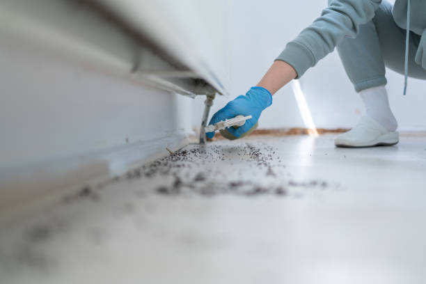Best Affordable Pest Control Services  in Clintondale, NY