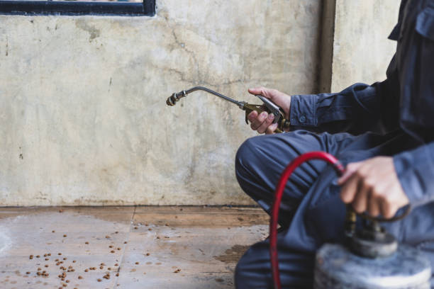 Best Mosquito Control Services  in Clintondale, NY