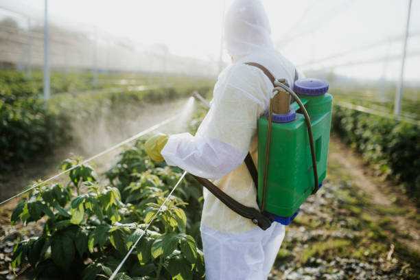 Best Commercial Pest Control Services  in Clintondale, NY